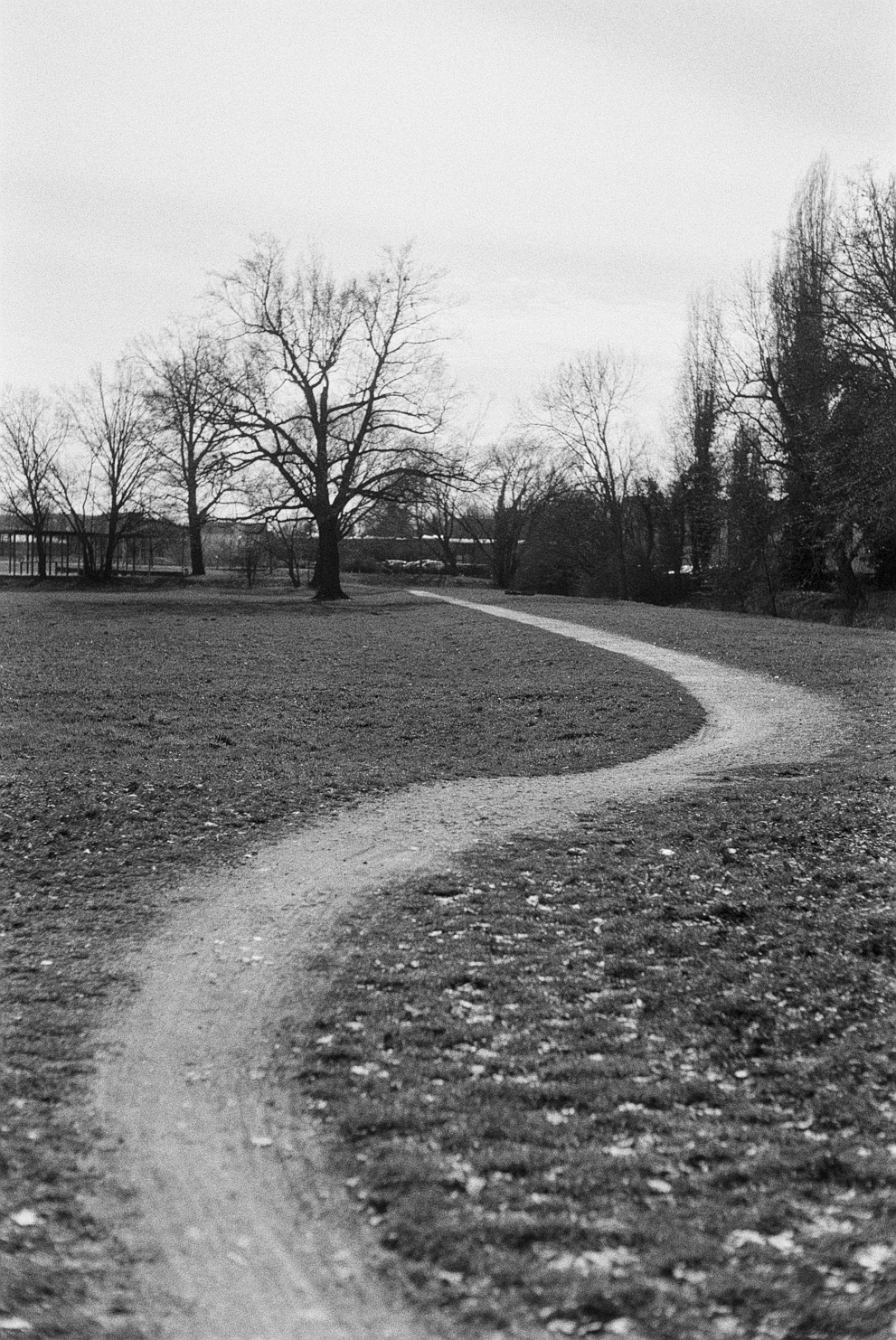 A dirt path leading down into a park. Shot on Agfa APX 100