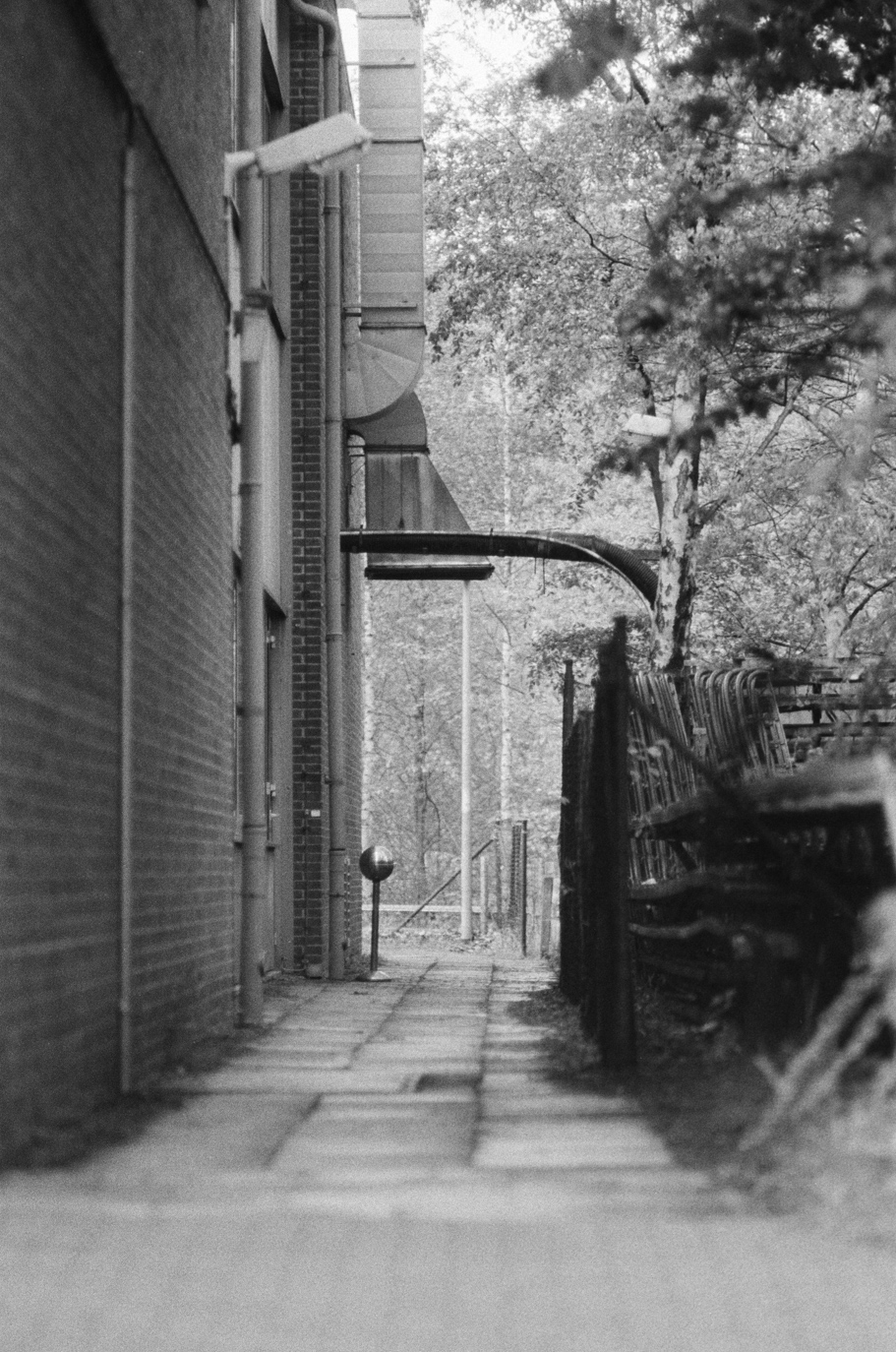 The pathways on the backside of a building with a lot of cables and plants. Shot on Agfa APX 400