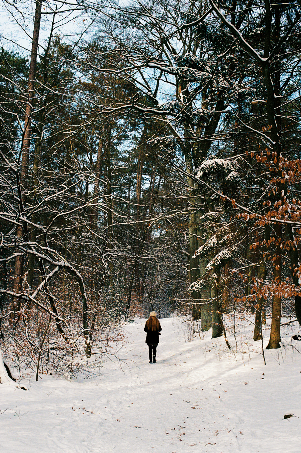 Woman walking in a winter forest. Shot on Kodak Ektar 100.