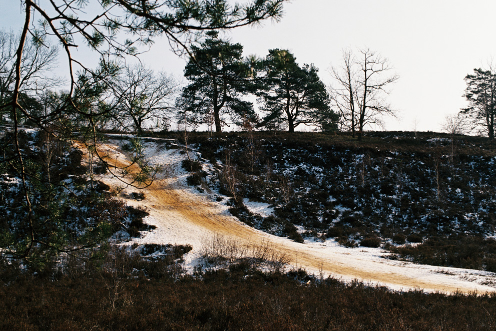 Snow slide hill in the Heide. Shot on Kodak Ektar 100.