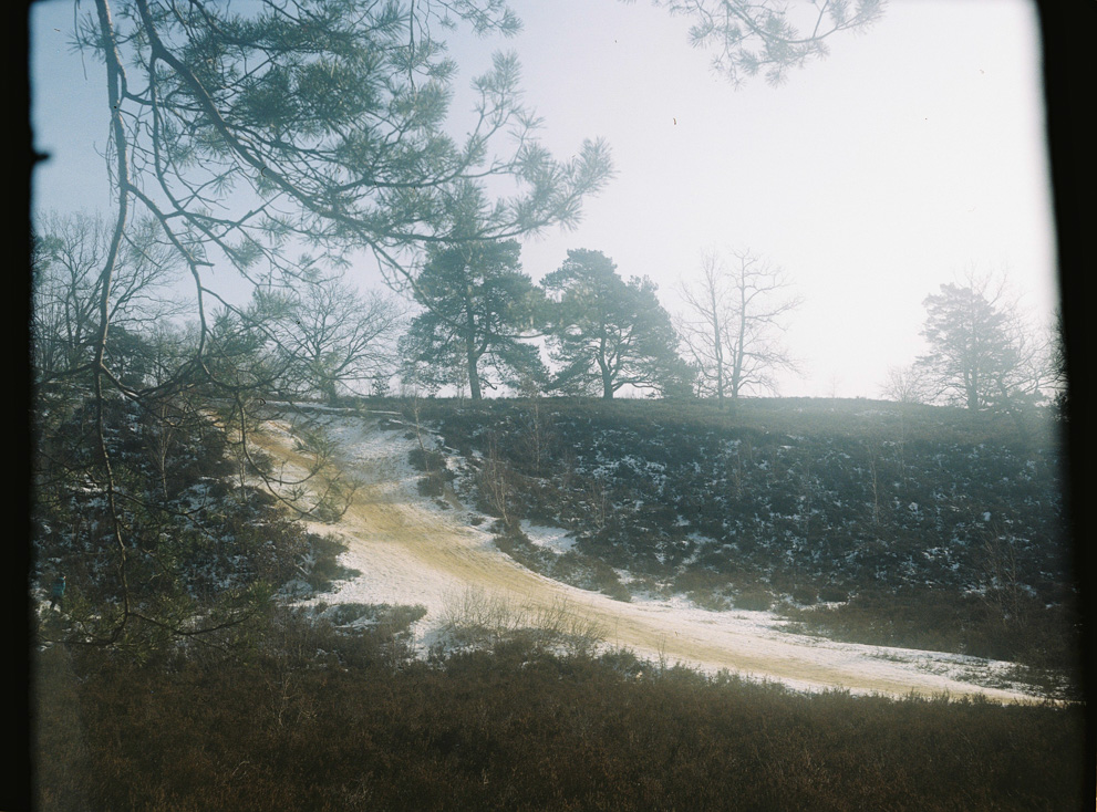 Sleight slide hill in the Hamburger Heide. Shot on Kodak Portra 400.