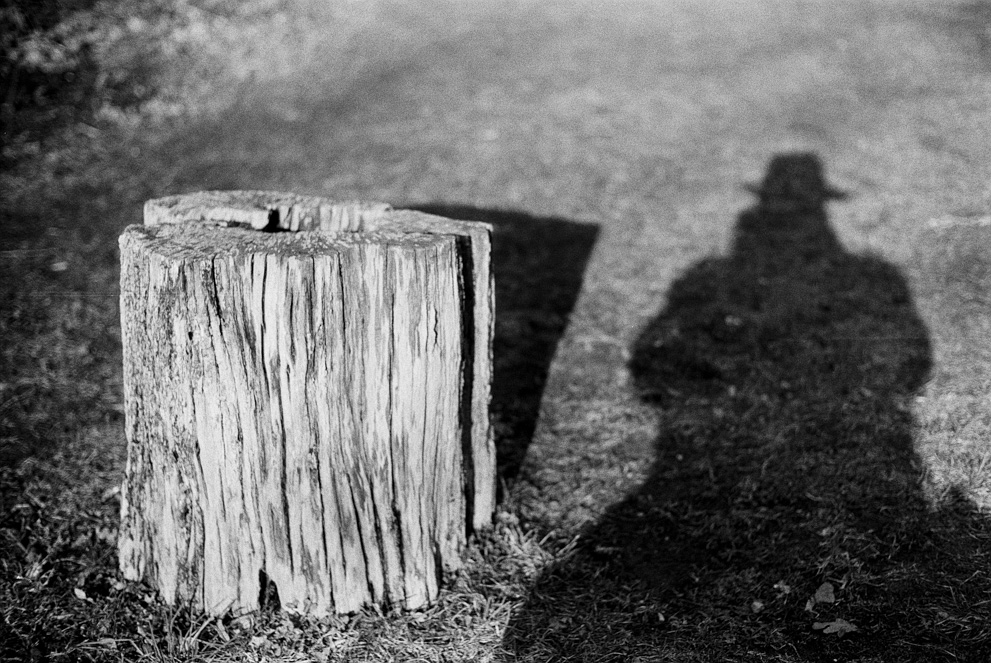 Silouette of a man with a tree stump. Shot on Kodak Tri-X 400.