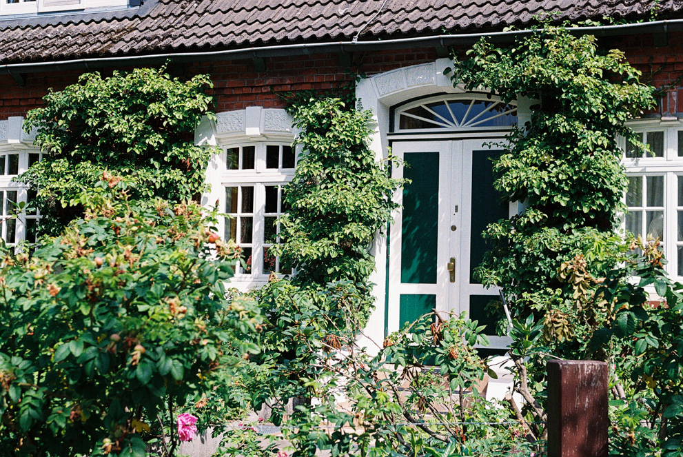 A house with rich plants. Shot on Kodak Ultramax 400.